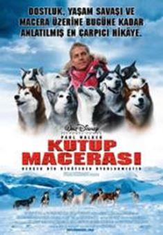Kutup Macerası afişi