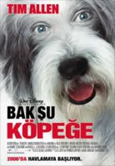 Bak Şu Köpeğe afişi