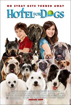 Köpek Oteli afişi