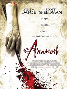 Anamorf afişi