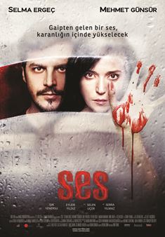 Ses afişi