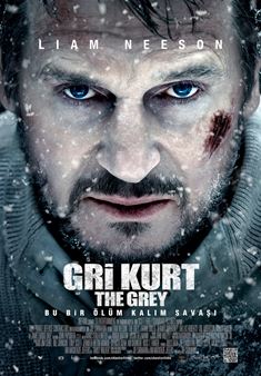 Gri Kurt afişi