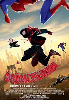 Örümcek-Adam: Örümcek Evreninde afişi