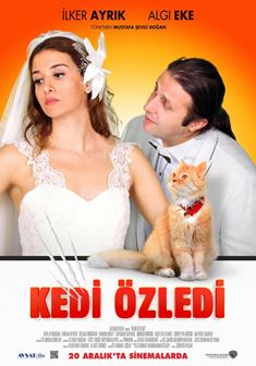 Kedi Özledi afişi
