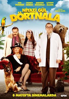 Niyazi Gül Dörtnala afişi