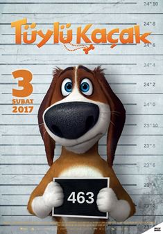 Tüylü Kaçak afişi