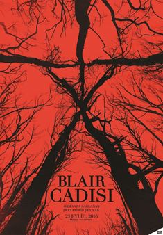 Blair Cadısı afişi