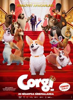 Corgi afişi