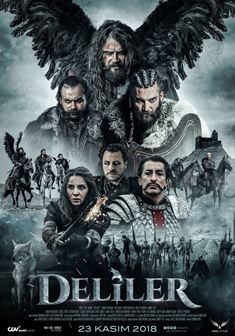 Deliler Fatih'in Fermanı afişi
