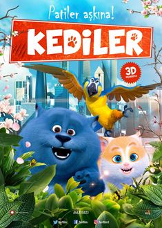 Kediler afişi