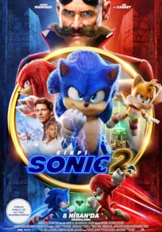 Kirpi Sonic 2 afişi