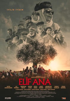 Elif Ana afişi