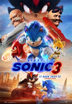Kirpi Sonic 3 afişi