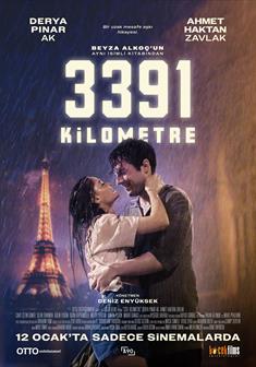 3391 Kilometre afişi