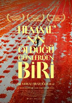 Hemme'nin Öldüğü Günlerden Biri afişi