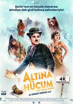 Altına Hücum afişi
