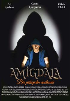 Amigdala afişi