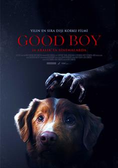 Good Boy afişi
