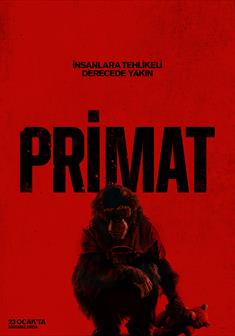 Primat afişi