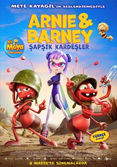 Arnie & Barney Şapşik Kardeşler afişi