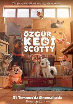 Özgür Kedi Scotty afişi